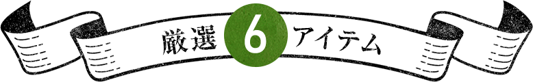 厳選 6アイテム