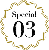 special03