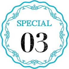 special03