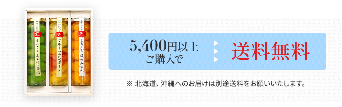お3,980円以上 ご購入で送料無料