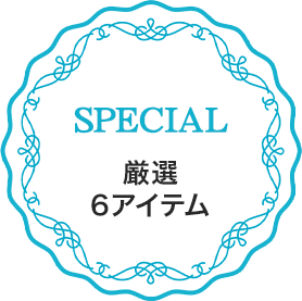 厳選 アイテム