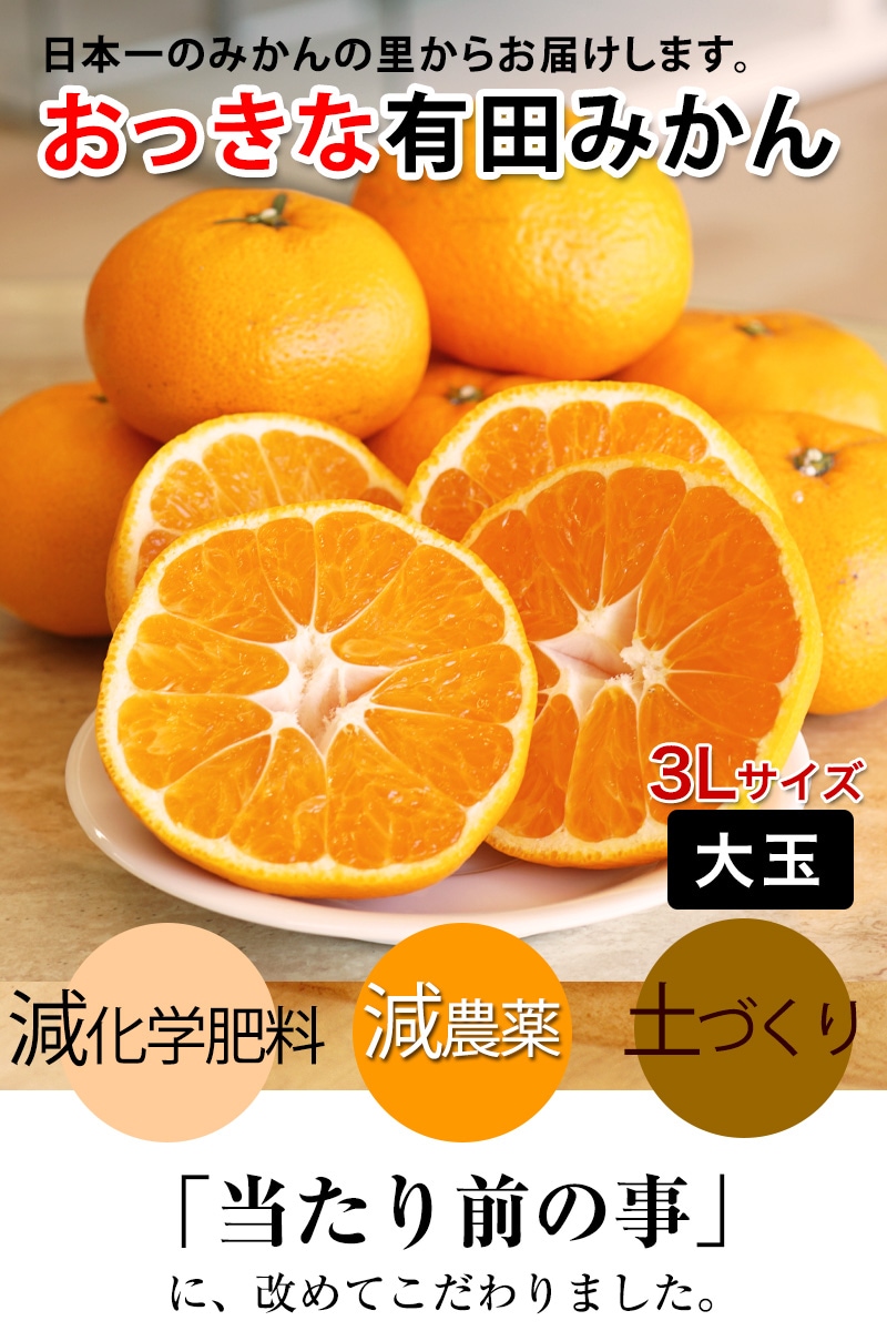 2025年 ご予約開始 ご家庭用 有田みかん 大玉 みかん 3Lサイズ 送料