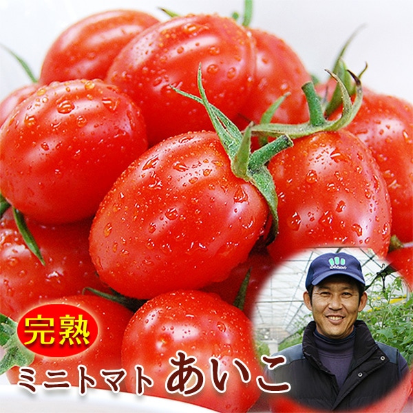 �ߥ˥ȥޥ� ������