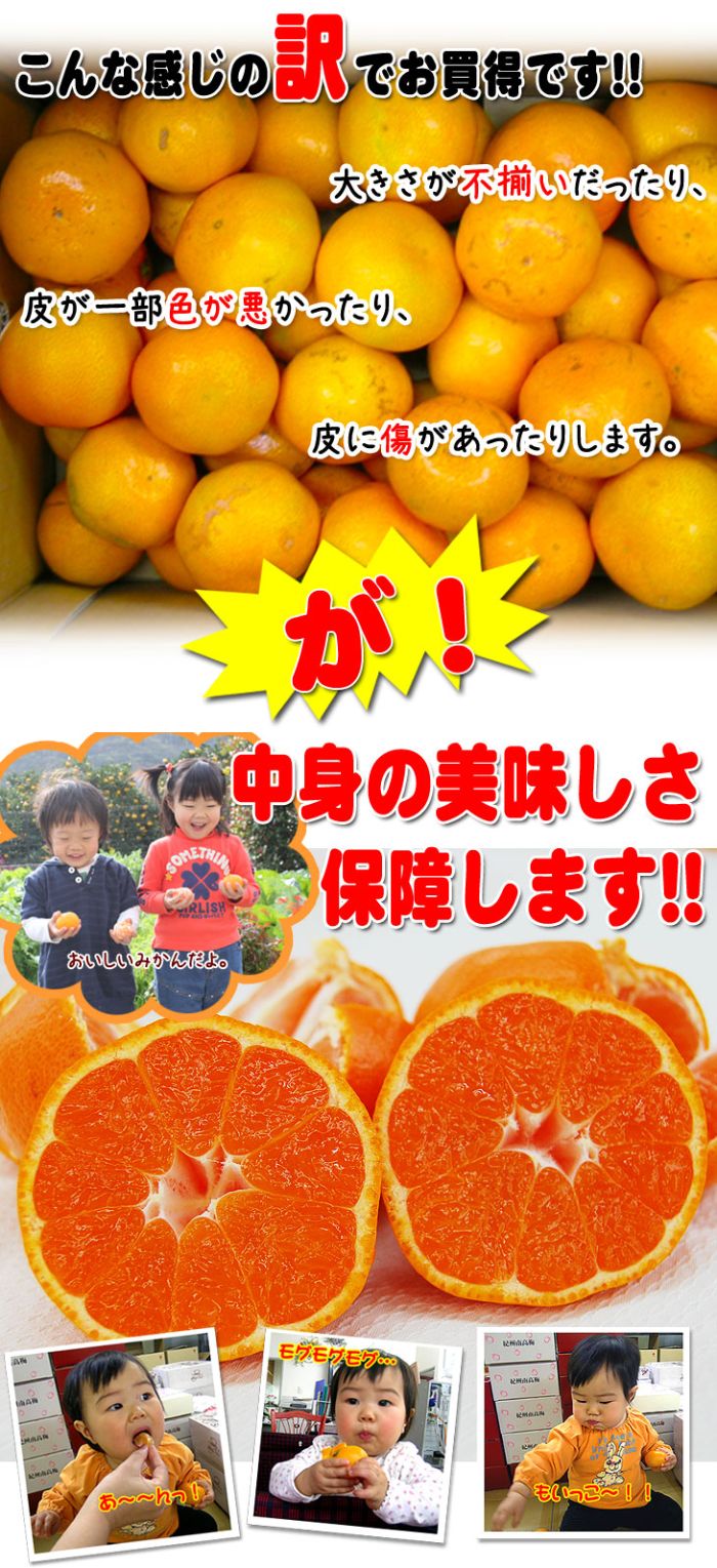 2025年 ご予約開始 有田みかんのトップブランド！<BR> 訳あり 完熟有田