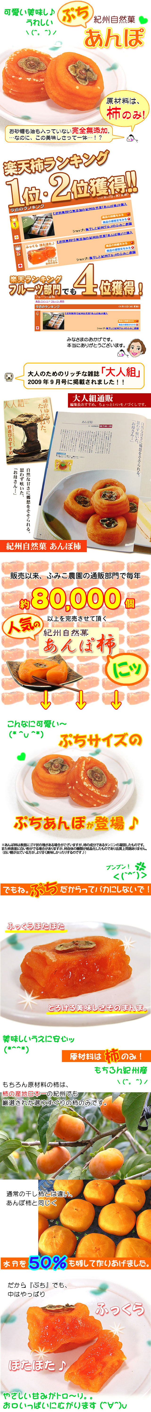 無添加 紀州自然菓「あんぽ柿」<BR>かわいいミニサイズ 3個入<BR><br