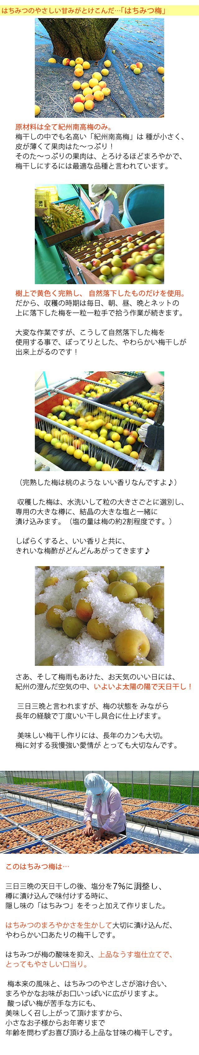 少量パック入でお味見にぴったり！<br>南高梅 はちみつ梅 200g<br
