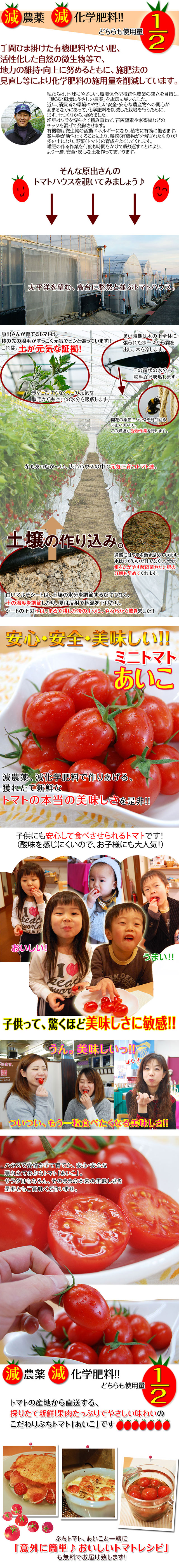 ご予約受付中 ミニトマトあいこ（アイコ）2kg 和歌山で作られた、減