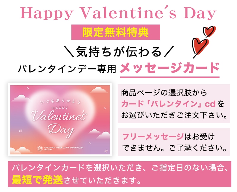 �Х�󥿥�����ŵ