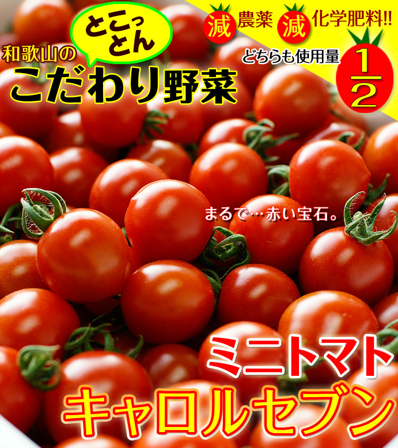 ミニトマト 10kg キャロル10 【糖度9以上】北海道産 農家直送+spbgp44.ru