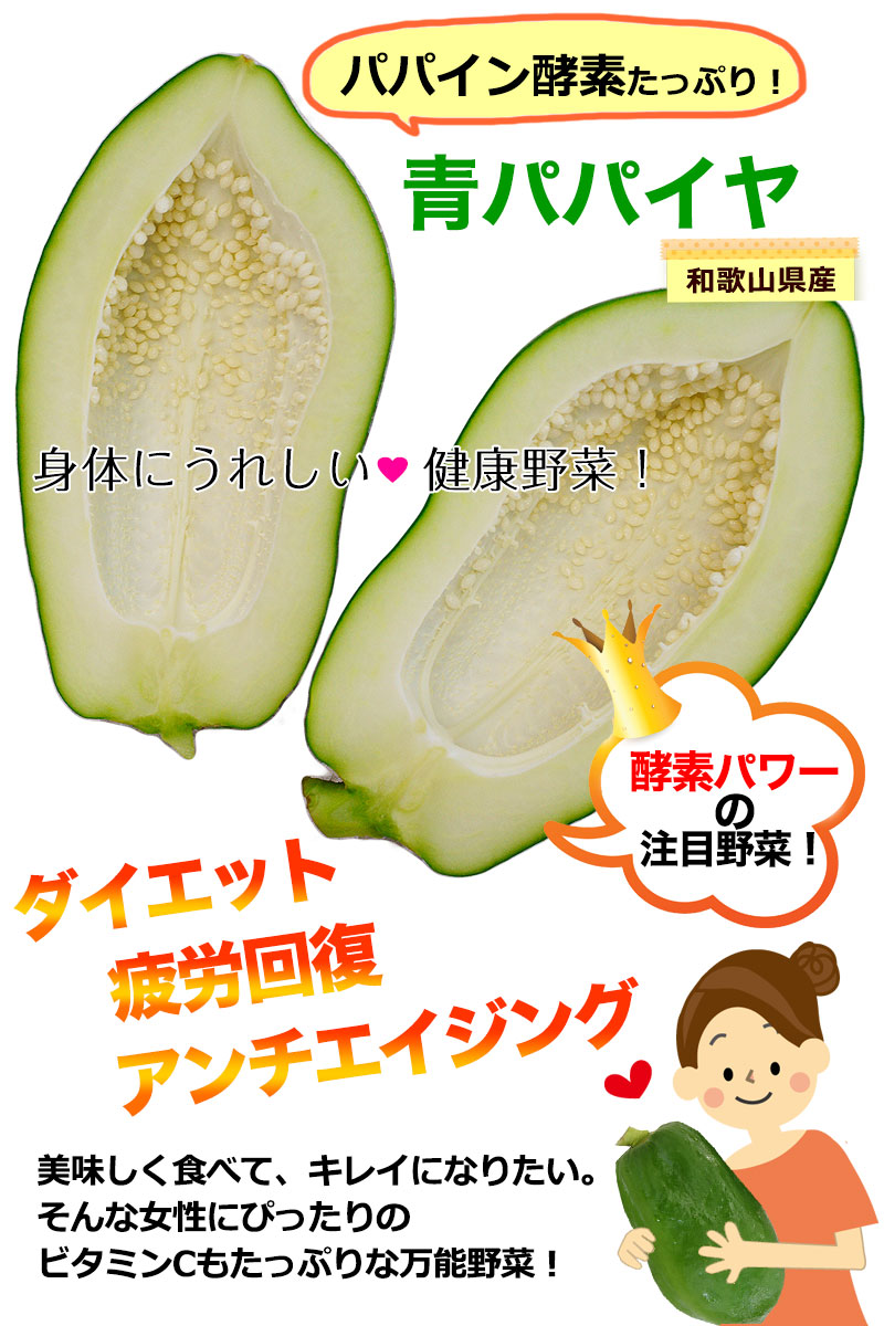 ソムタムやサラダ、きんぴら、野菜炒め、フライに煮物、カレーにも！　青パパイヤ　和歌山県産　パパイン酵素たっぷり！効能たっぷり！　無農薬栽培　無添加あんぽ柿や梅うどん、お得な梅干し、野菜にフルーツ、ハローキティ立体　...　約1kg（1玉）　※販売期間9月上旬～11月下旬