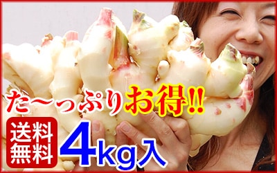 äפꤪ4kg