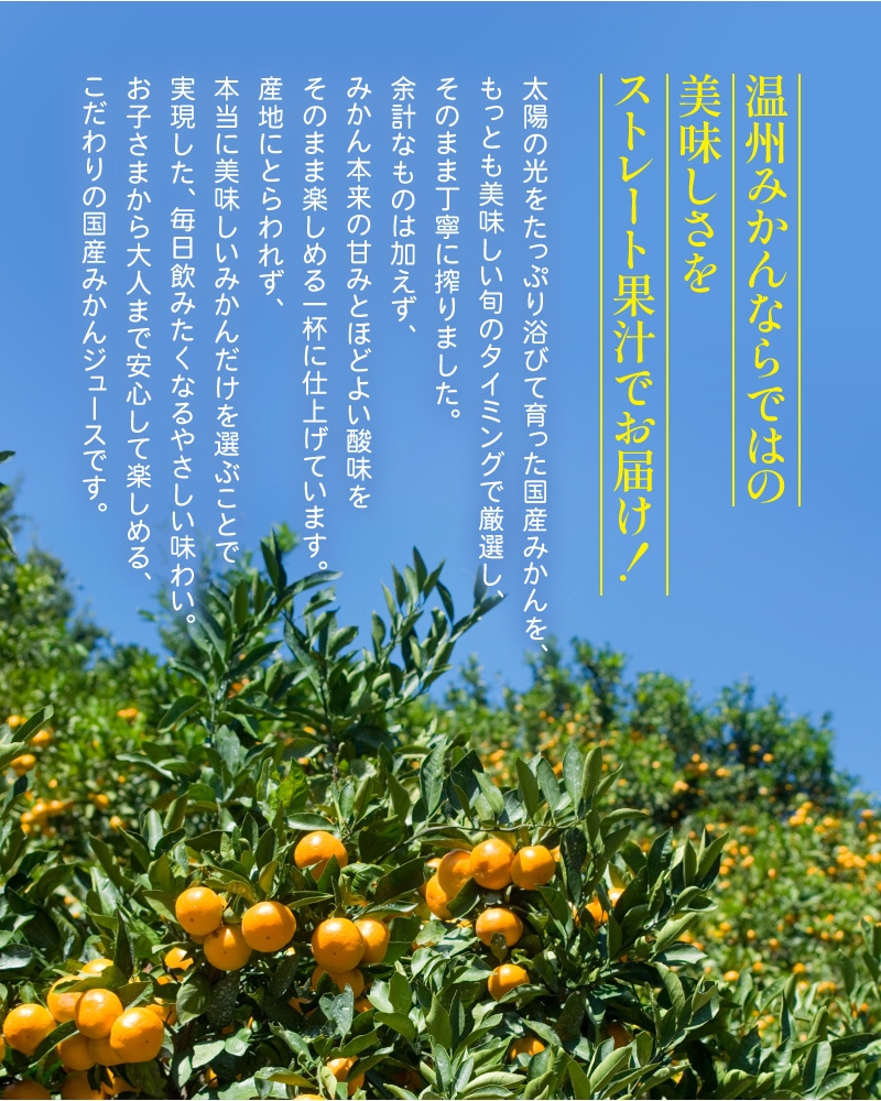 �ߤ��󥸥塼��
