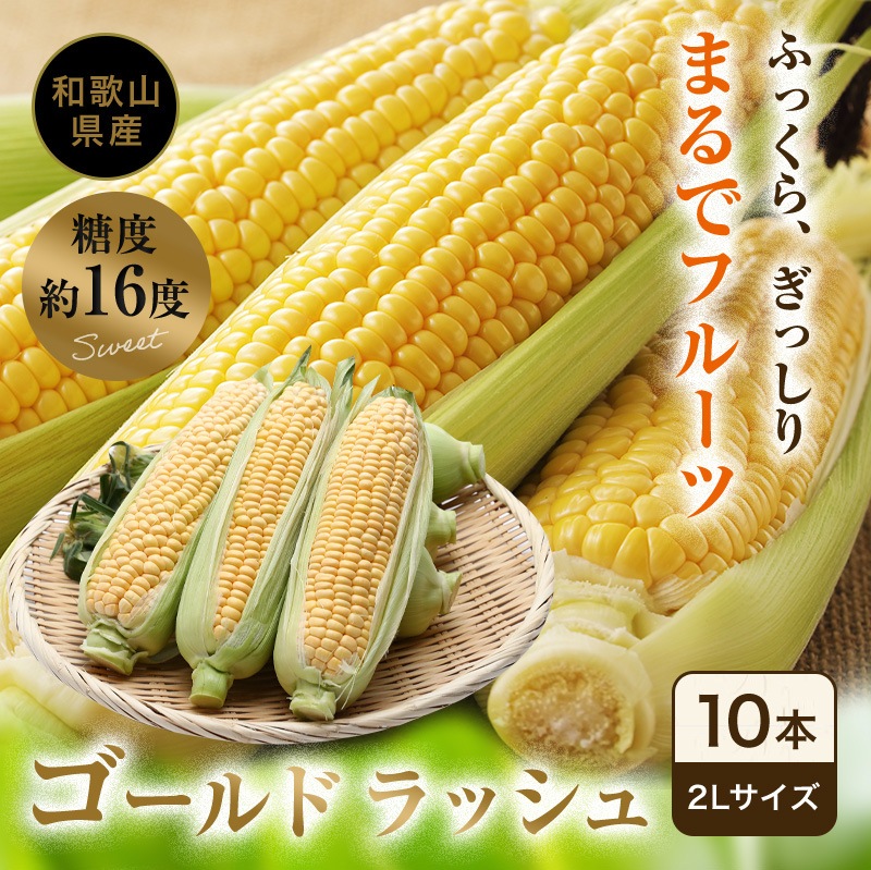 ご予約開始, 和歌山の甘いとうもろこし ゴールドラッシュ 2Lサイズ10本(約4kg), 送料無料  和歌山県白浜町産、和歌山県産の減農薬、減化学肥料のこだわりトウモロコシ、高糖度の感動の美味しさを産地直送-紀州グルメの通販店ふみこ農園