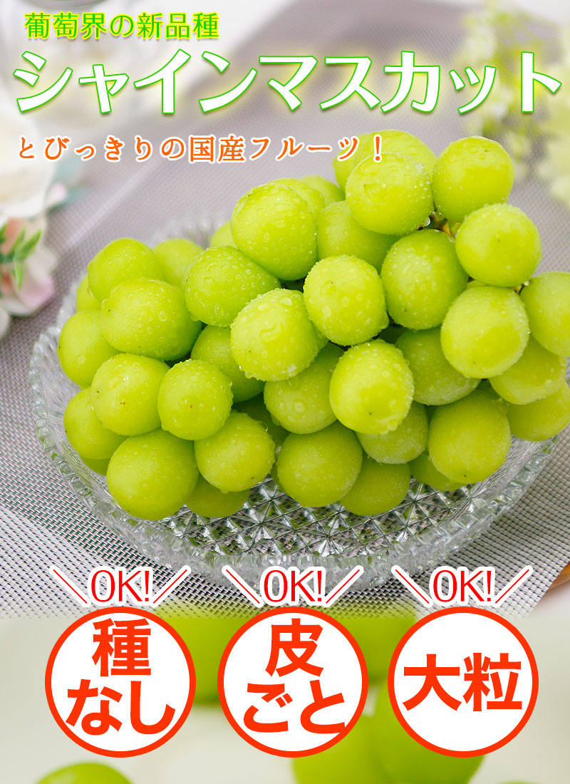 ギフト プレゼント シャインマスカット<br>約1kg（約500g×2房入）<br>【送料無料】※一部地域を除く<br>大粒・種なし・皮ごと食べれる美味しいぶどう！<br>糖度驚きの17度以上！葡萄  ハウス栽培 マスカット 無添加あんぽ柿や梅うどん、お得な梅干し、野菜にフルーツ ...