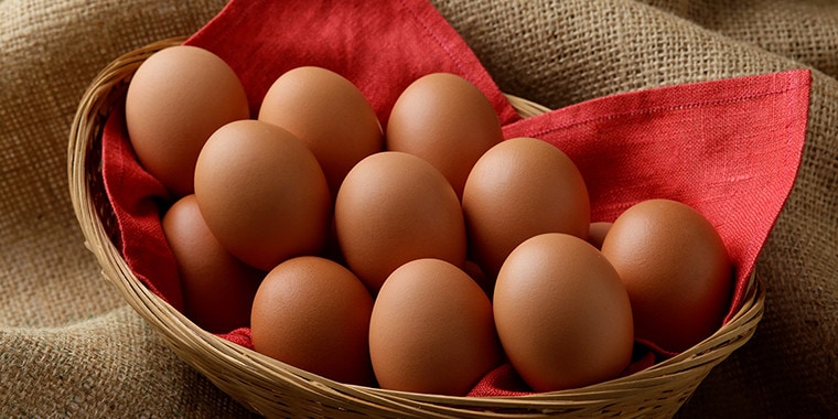 カステラ専用卵「南蛮卵」