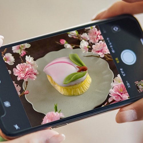 特別な日の思い出づくりにもぴったり