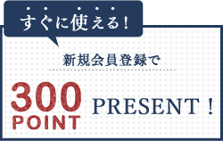 300 POINT PRESENT