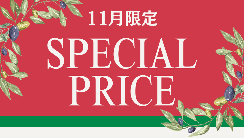 11月限定SALE