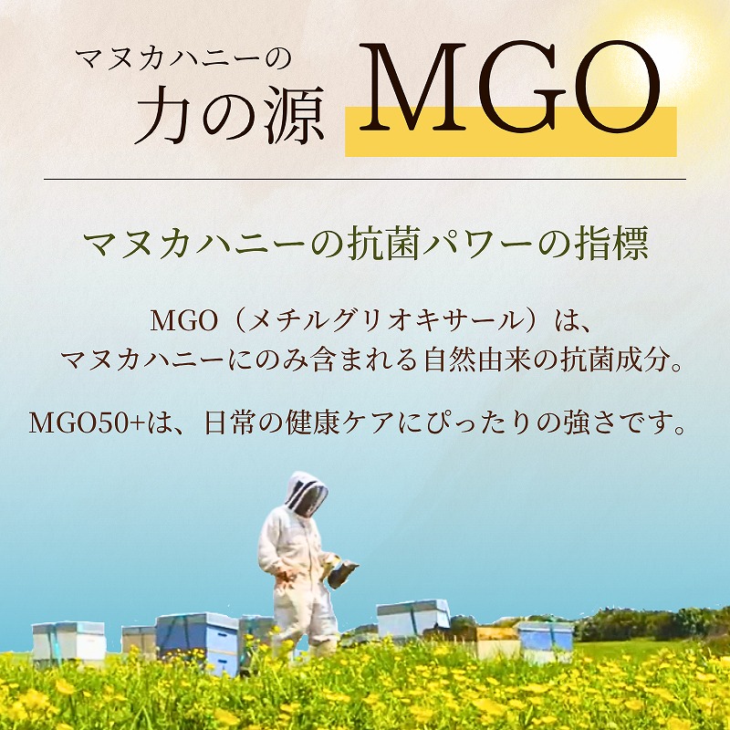 イブヌ　送料分 こんぶのいいわけ【北海道日高産】100g | ホッカンオンラインカート
