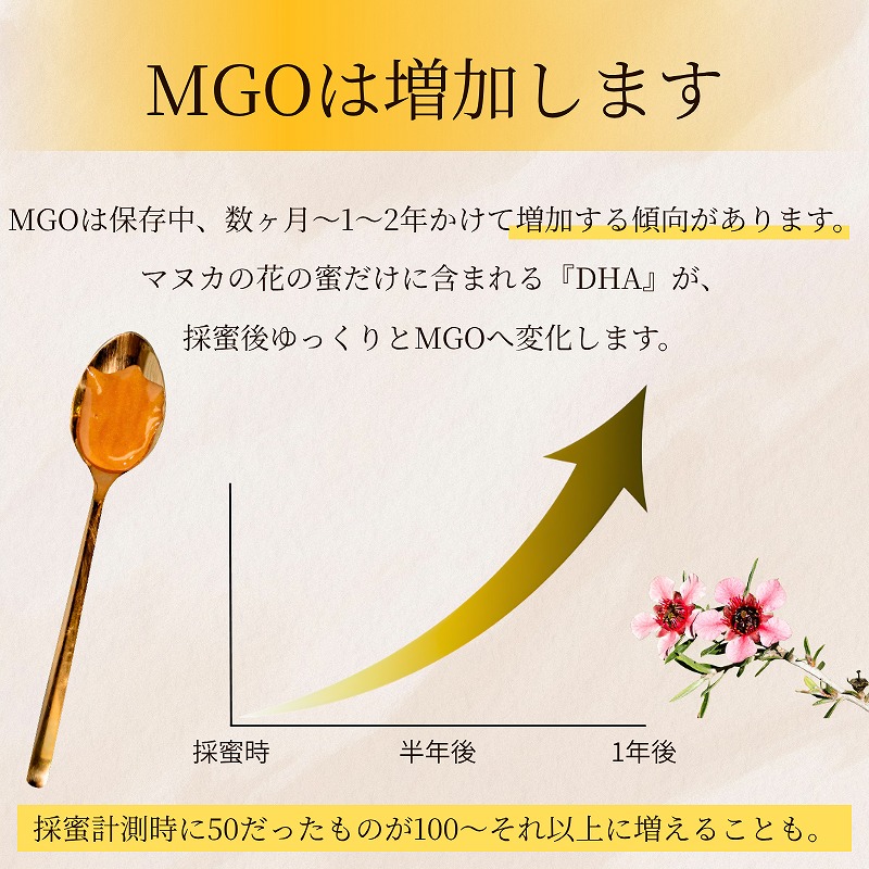 ニュージーランド産 マルチフローラルマヌカハニー MGO50+ 500g｜株式
