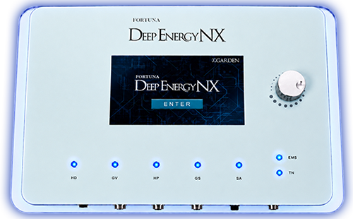 DEEP ENERGY NX｜エナジートリートメントで芯から整える！テラヘルツ波
