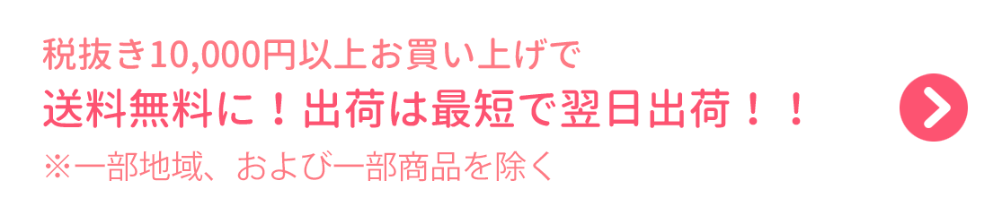 税抜き10,000円以上お買い上げで送料無料