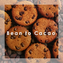 Bean to Cacao ӡȥ
