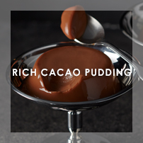 RICH CACAO PUDDING åץ