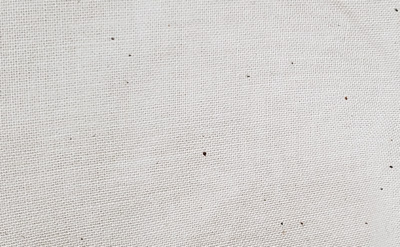 生地表面の綿カスのイメージ