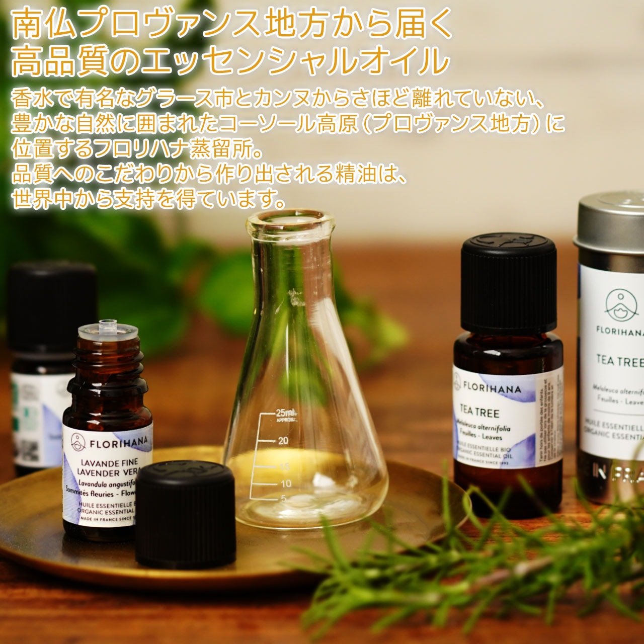 シスタス ロックローズ オーガニック 2g【2.25ml】［フロリハナ