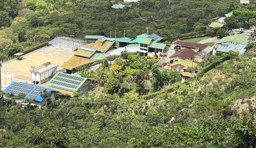 農園の全景