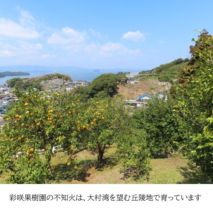 siranui4����