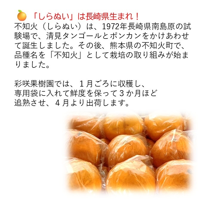 siranui5����