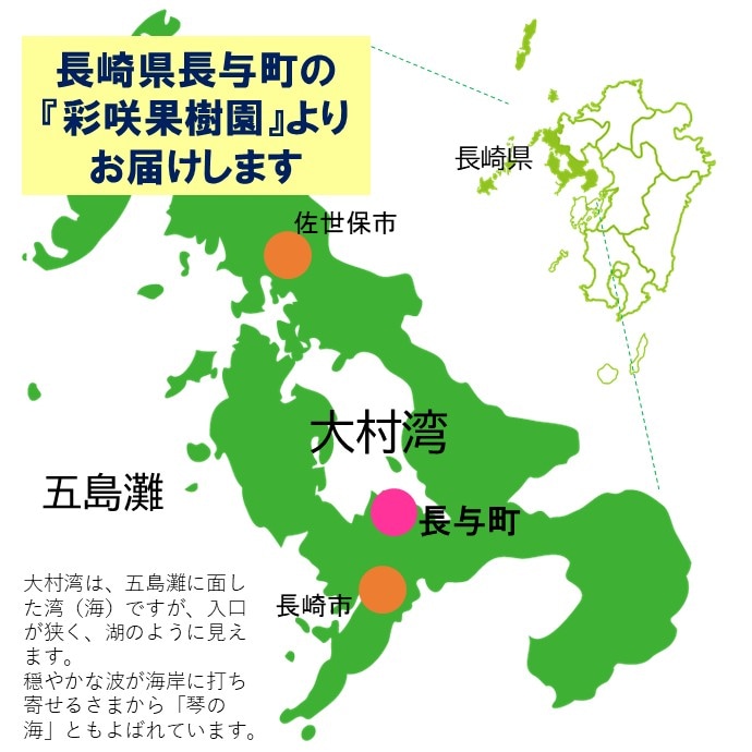 siranui6����
