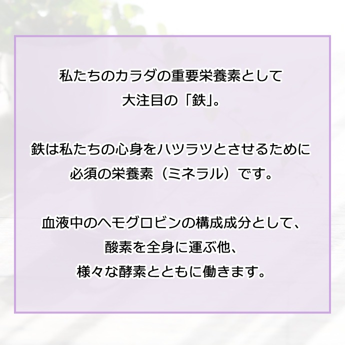 �إ�Ŵ����2