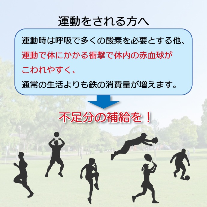 �إ�Ŵ����12