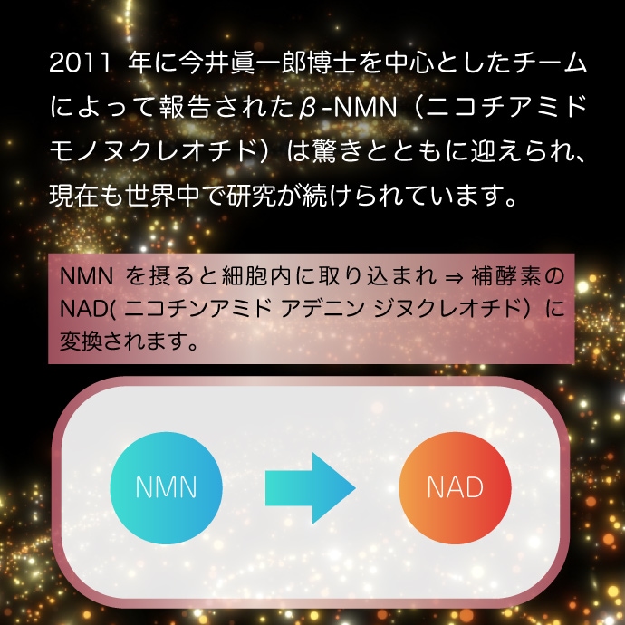 NMN説明