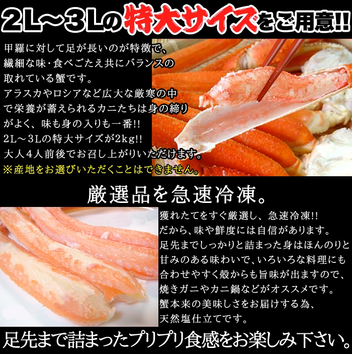 特大ズワイガニ足2