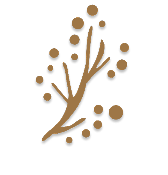 2025 ANNEBRA Christmas Lingerie