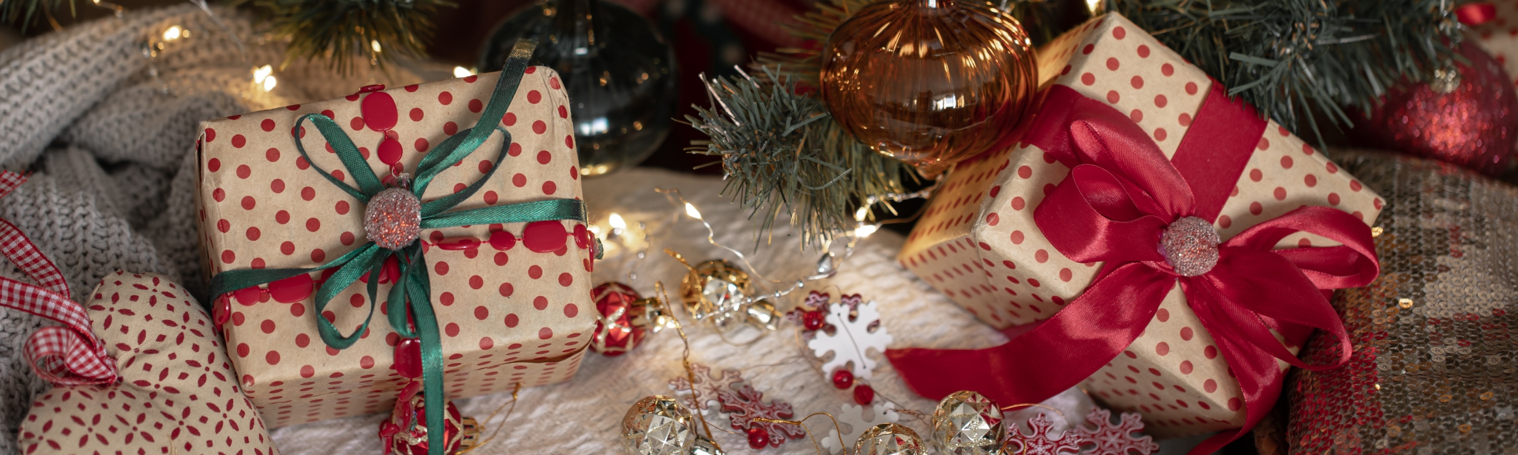 2025 ANNEBRA Christmas Lingerie