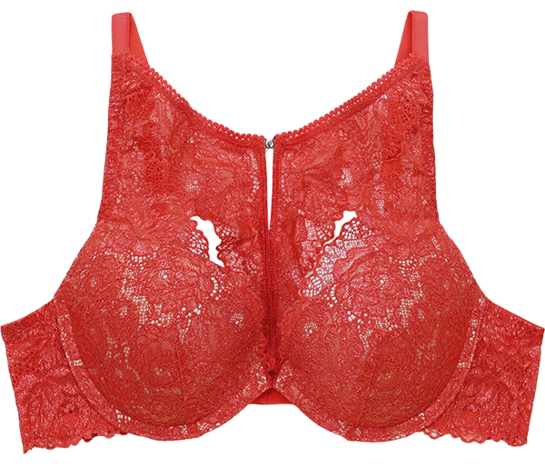 2023 ANNEBRA Christmas Lingerie