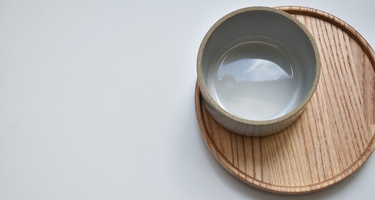 hasami porcelain tray