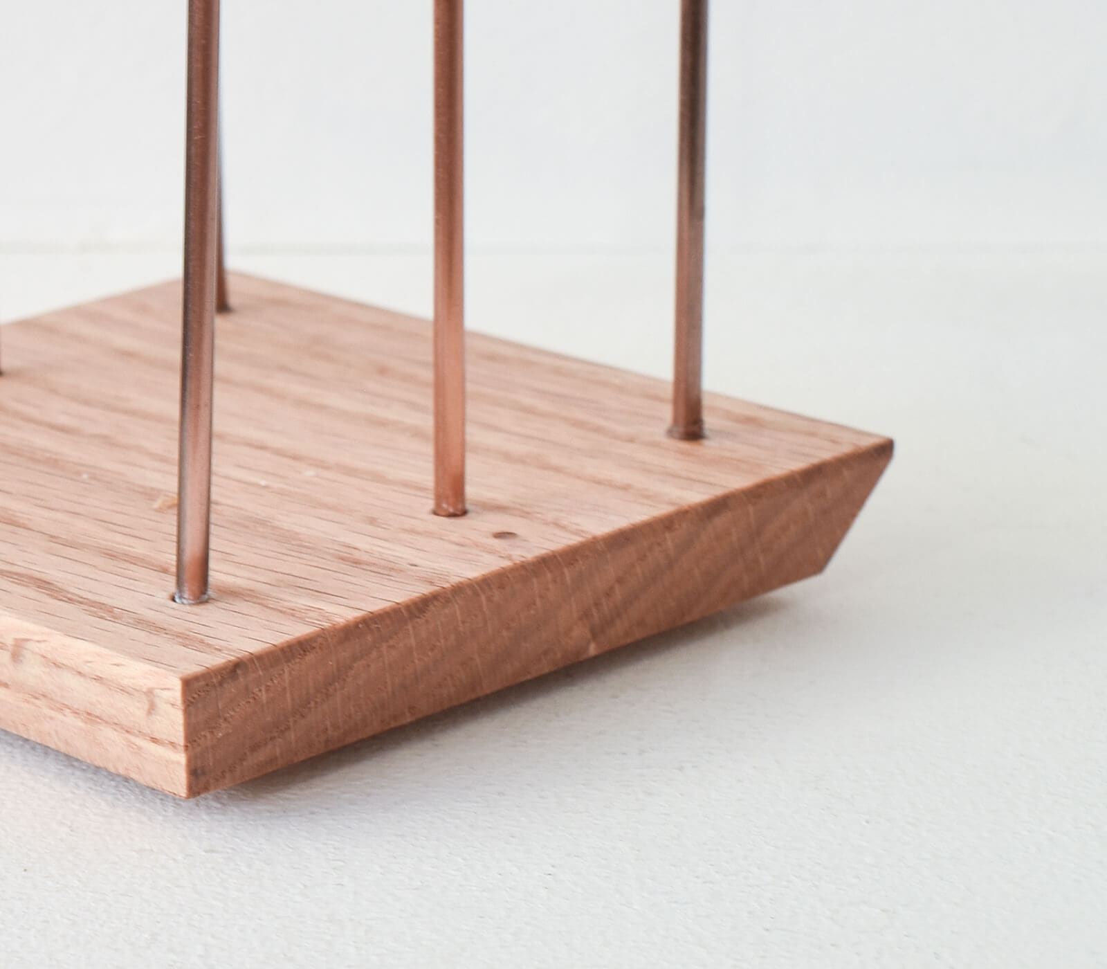 ������ �»���������