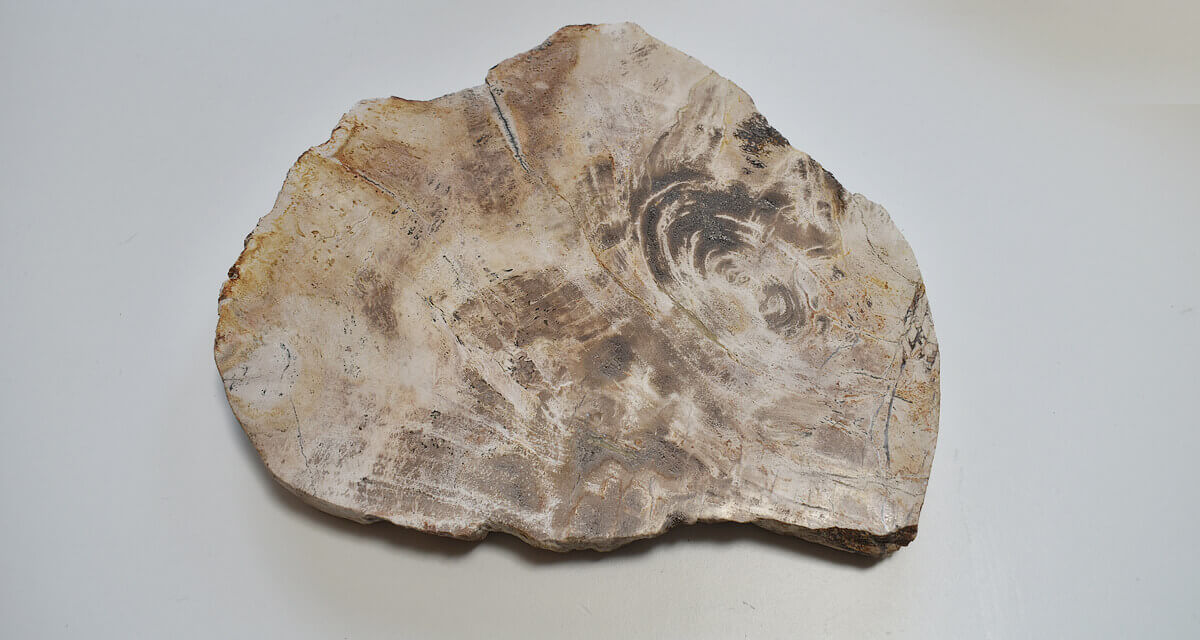 AGATE & WOOD PLATE ｜CATAWARA（カタワラ）
