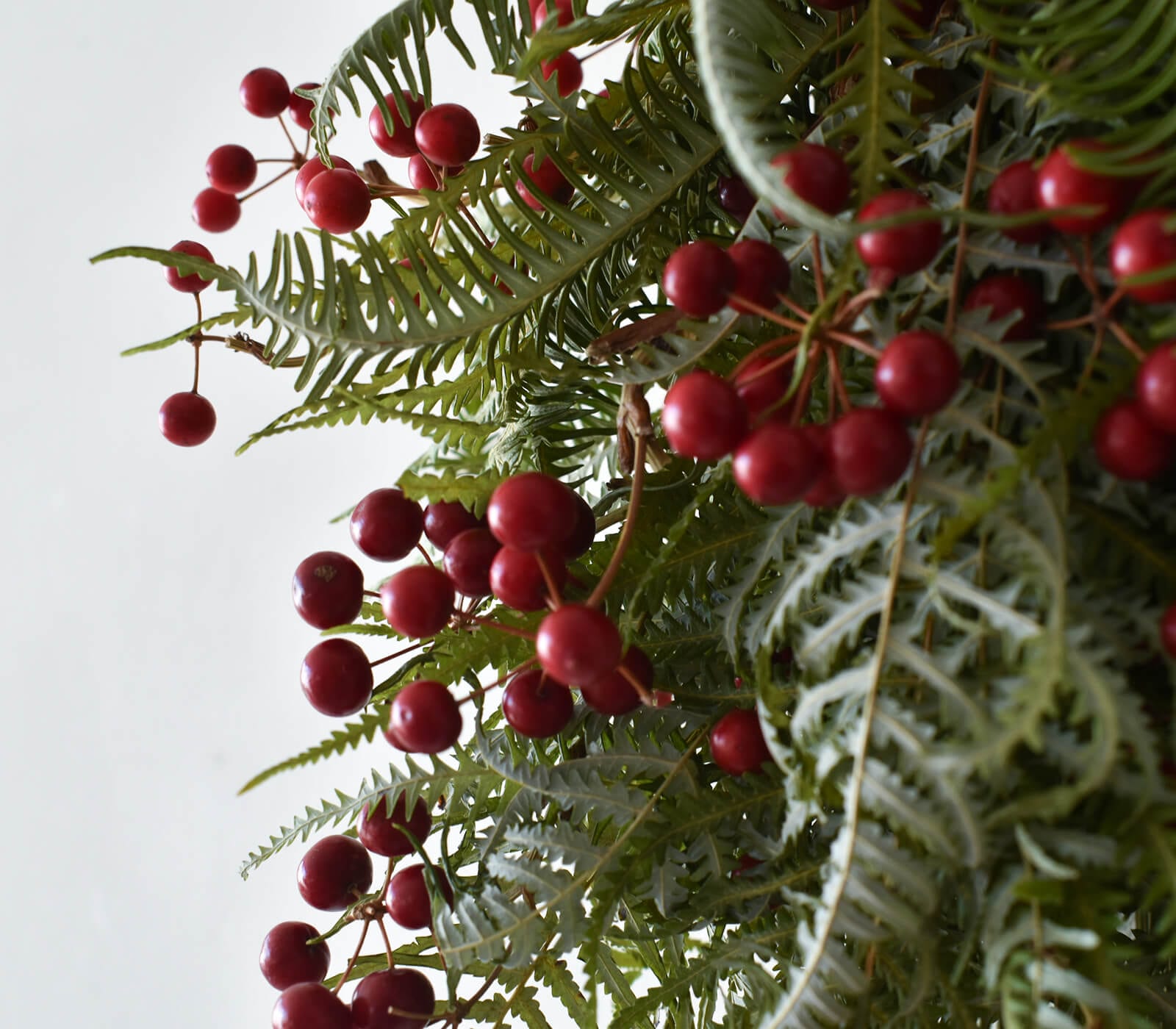 ������Ȣ