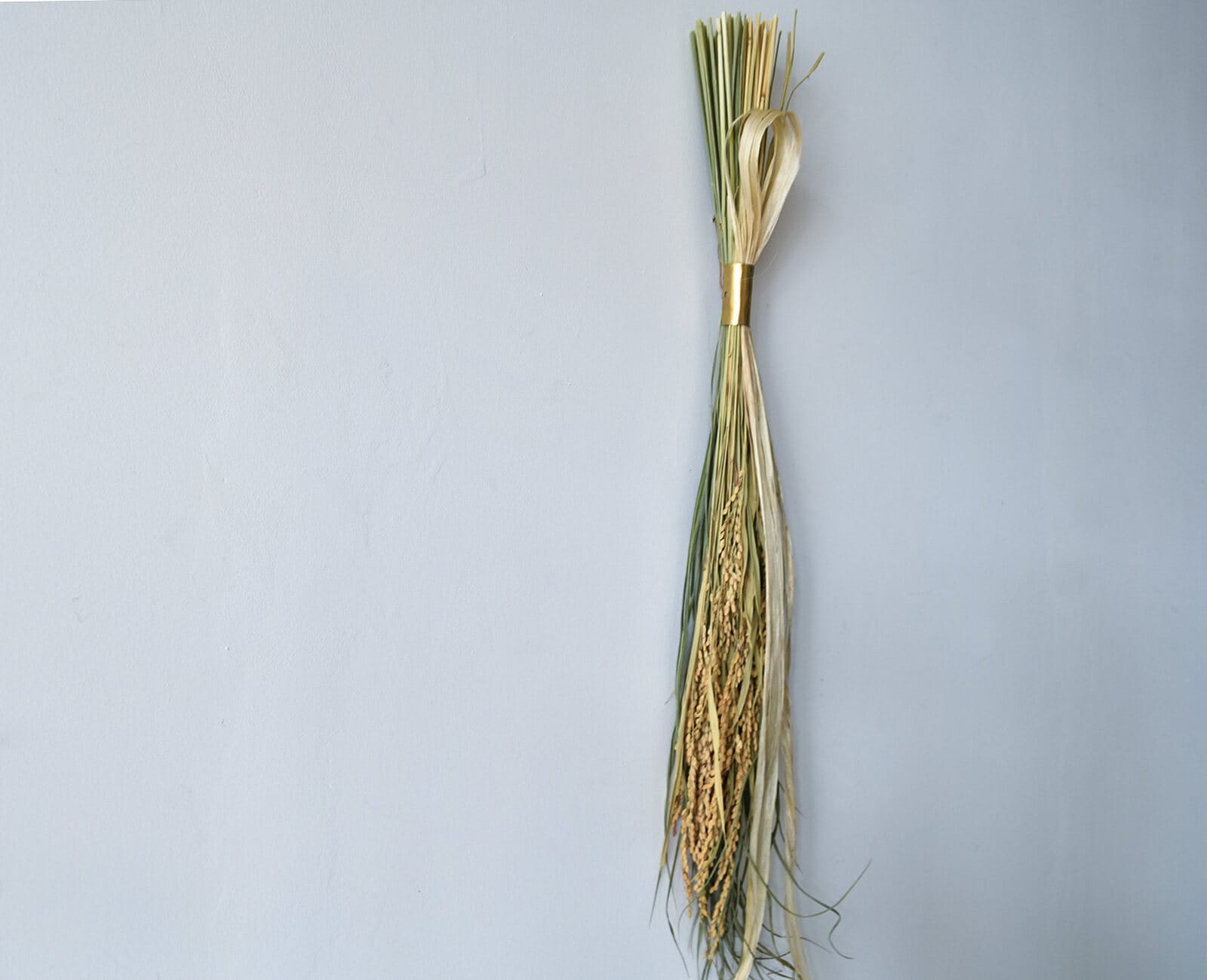 ��﫡ߤ����Ϥ�