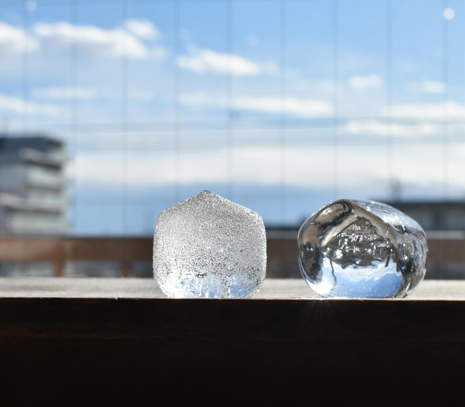 one day ���ϲ¿�