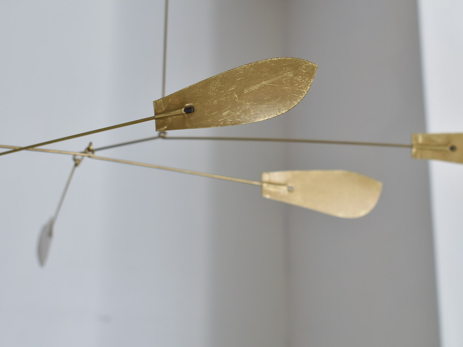 kanehen ��ӡ���