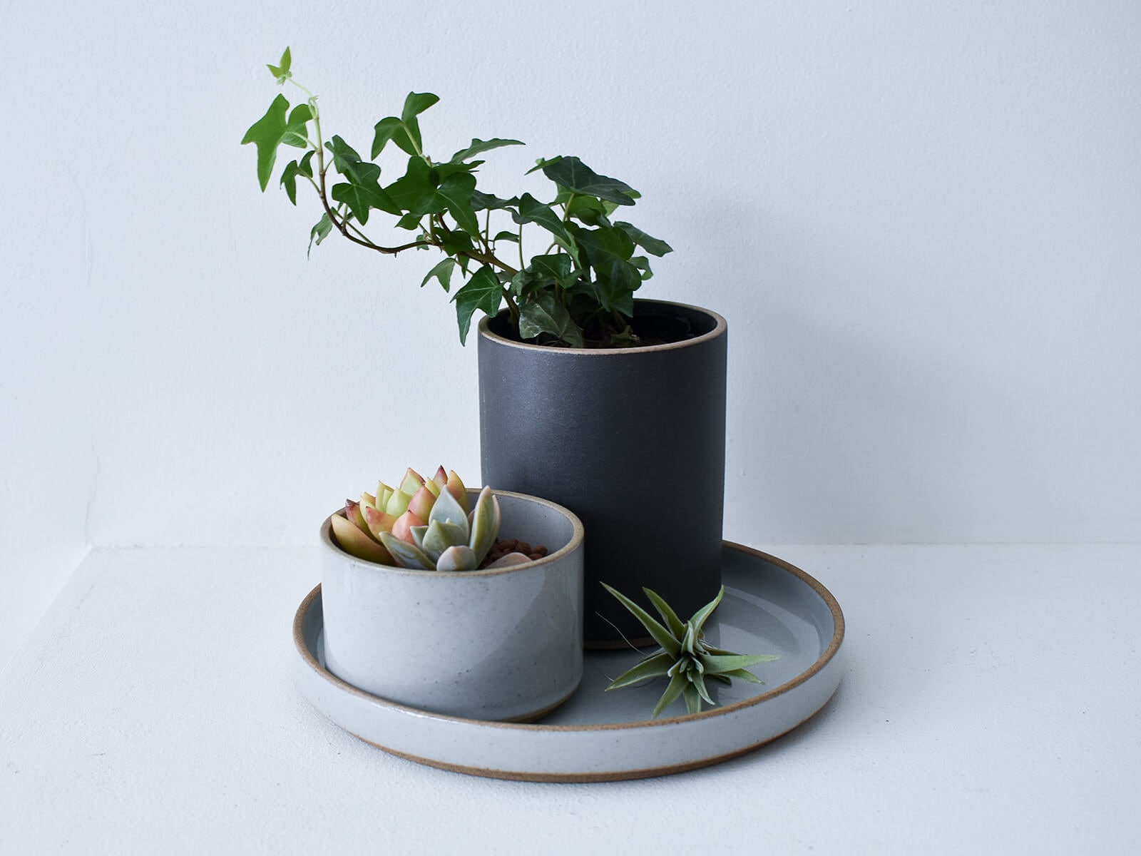 hasami porcelain planter