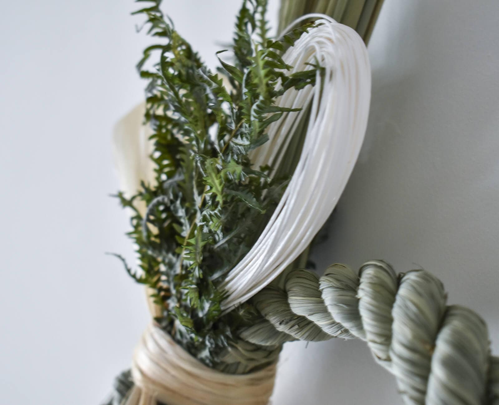 �����α�